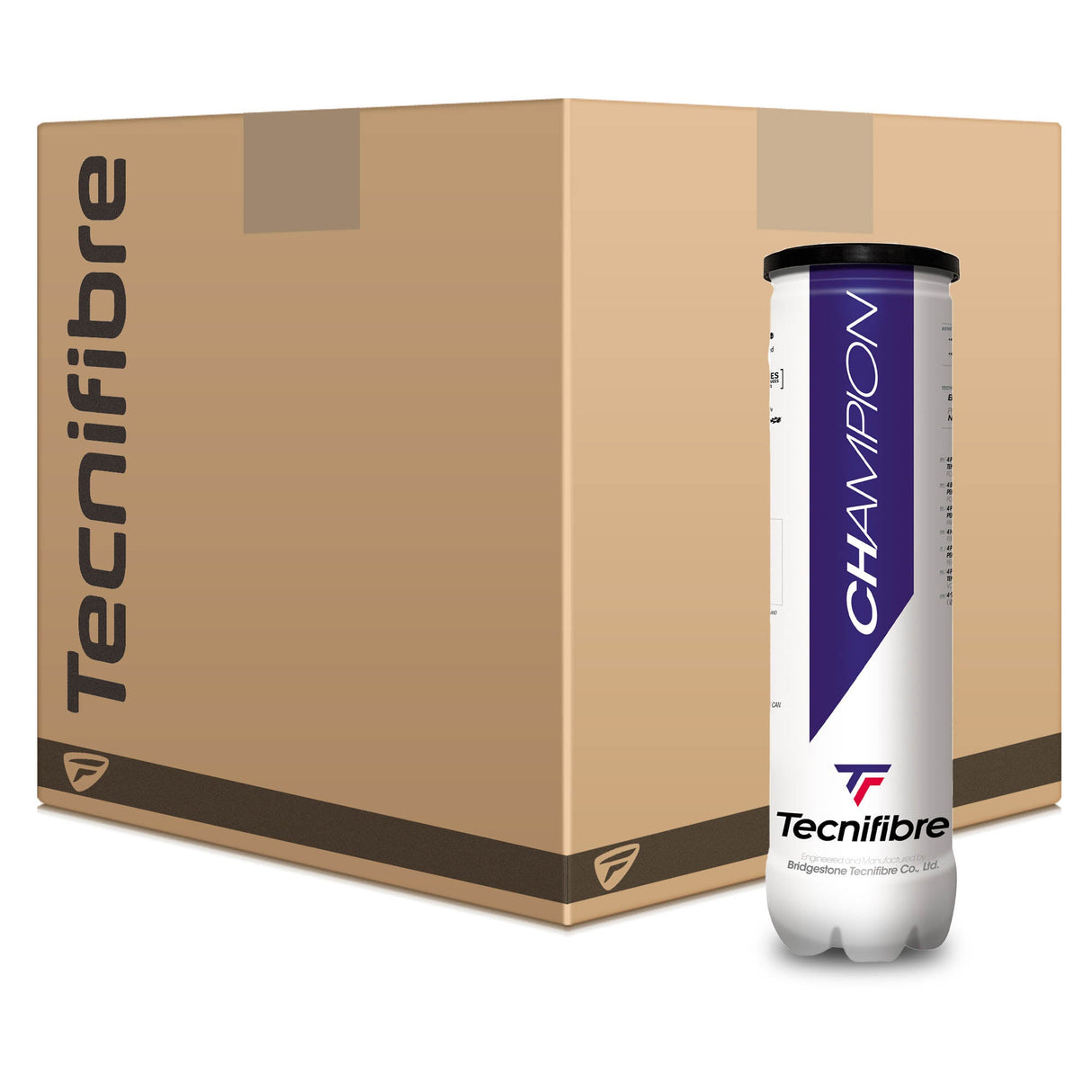 |Tecnifibre Champion One Tennis Balls - Dozen|