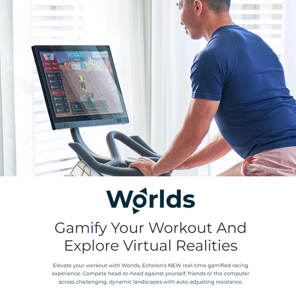 Echelon 1 Year Membership Infographic