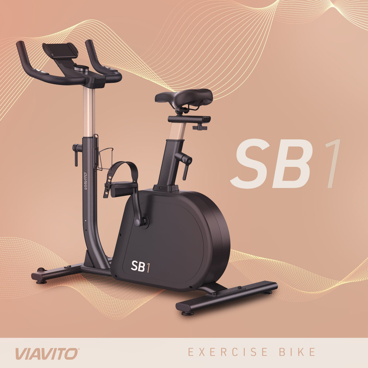 |Viavito SB1 Infograph 1|