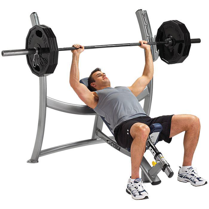 |Cybex Olympic Incline Bench|