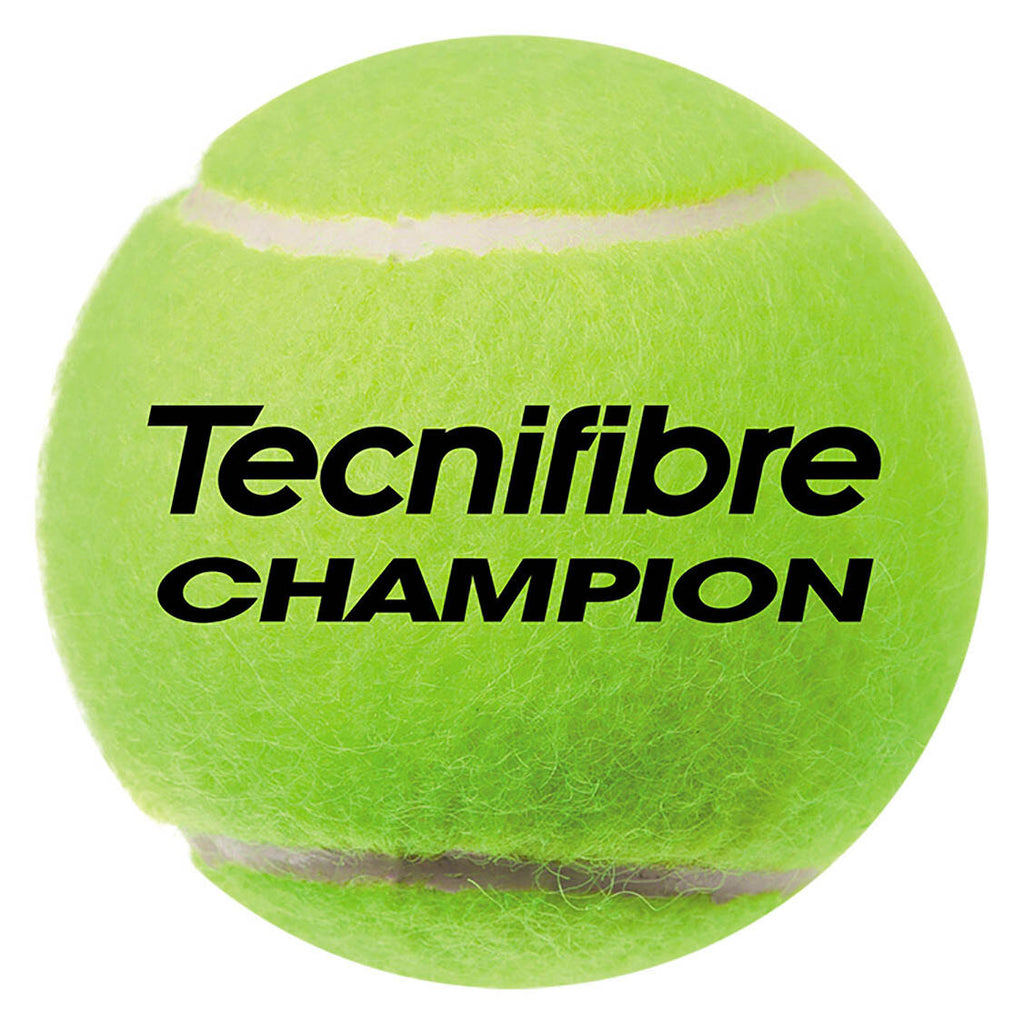|Tecnifibre Champion One Tennis Balls - 1 Dozen Basll|