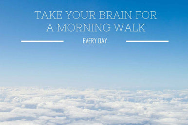 Brain for a Morning Walk