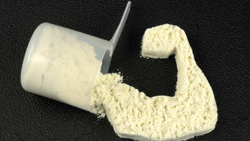 Building Muscle: How Protein And Creatine Can Help