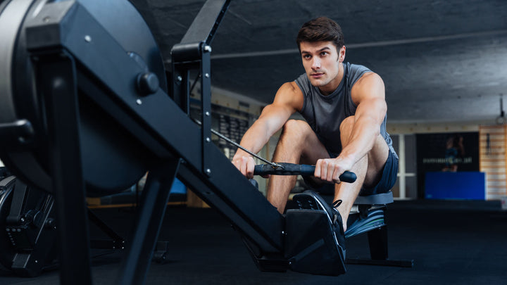 What muscle groups do rowing machines work?