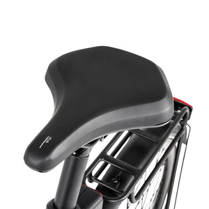 Cikada Urban Cruise Electric Hybrid Bike