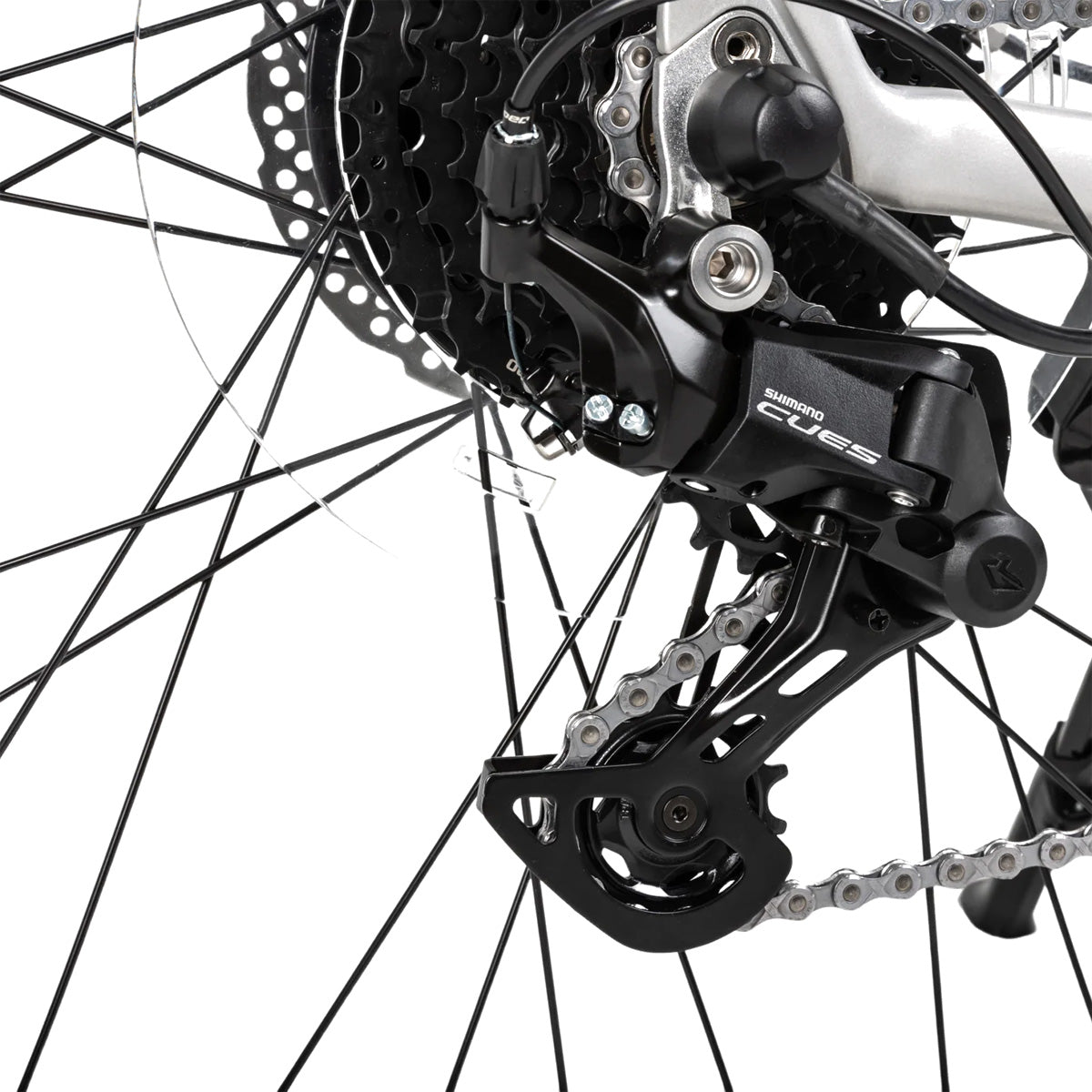 Cikada Urban Adventure  Zoomed