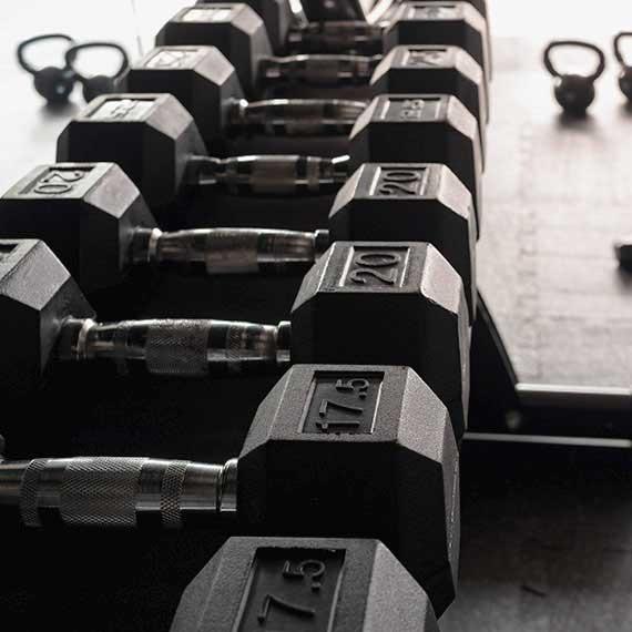 Gym Equipment