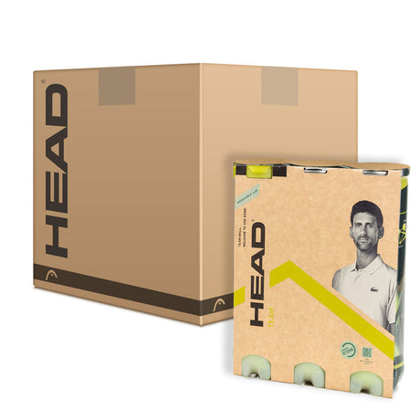 Head Team Tennis Balls