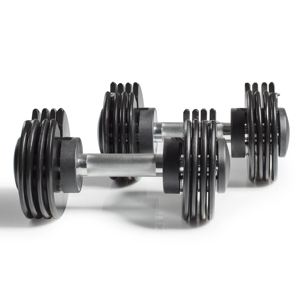 |NordicTrack Adjustable Dumbbells |