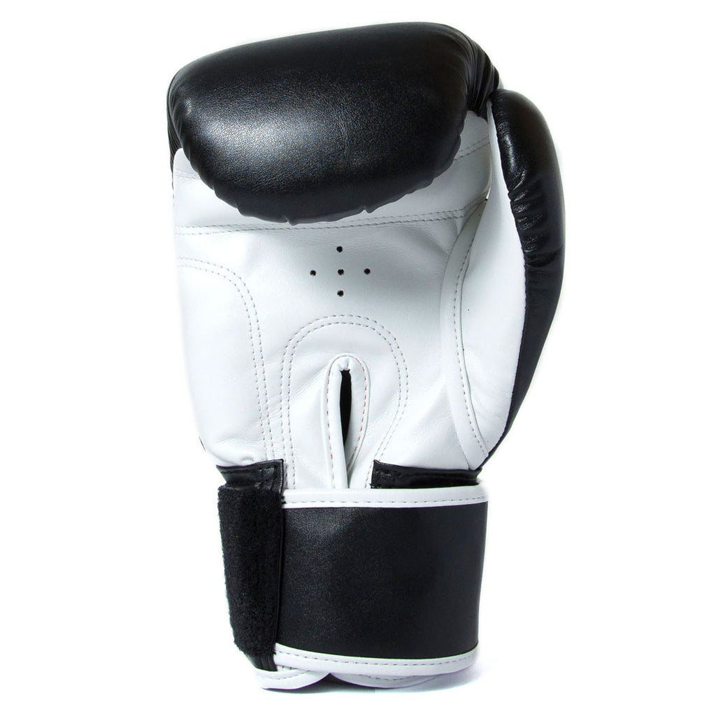 |Sandee Sport Synthetic Leather Sparring Gloves - Back|