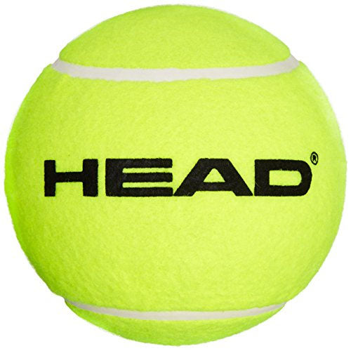 |Sweatband.com Head Team Tennis Balls - 12 Dozen - Ball - Head Logo|