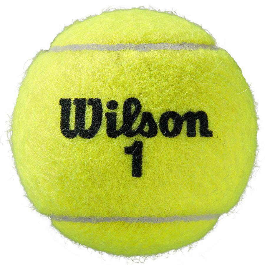 |Wilson Roland Garros All Court Tennis Balls - Tube of 4|
